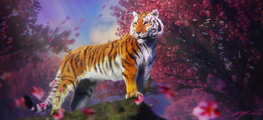 Keegan's Tiger